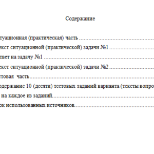 Бухгалтерский учет и анализ. Вариант 2. НГУЭУ.