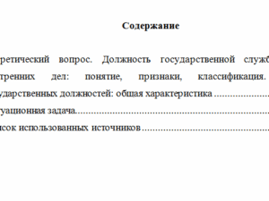 Государственная служба в правоохранительных органах. Вариант 3. НГУЭУ.