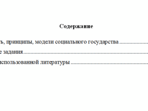 Основы социального государства. Вариант 1. НГУЭУ.