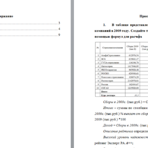 Информатика. Вариант 3. НГУЭУ.