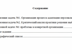 Основы управления персоналом. Вариант 4. НГУЭУ.