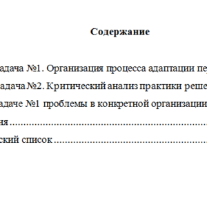 Основы управления персоналом. Вариант 4. НГУЭУ.