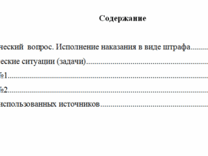 Уголовно-исполнительное право. Вариант 7. НГУЭУ.