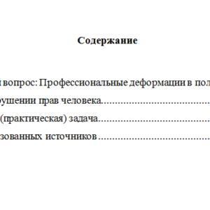 Обеспечение прав человека в деятельности правоохранительных органов. Вариант 3. НГУЭУ.