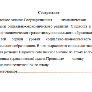 Государственное регулирование экономики. Вариант 4. НГУЭУ.