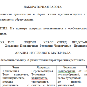 Зоология. Лабораторная работа.