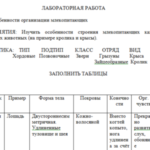 Зоология. Лабораторная работа.