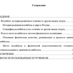 Волейбол как вид спорта. Реферат.