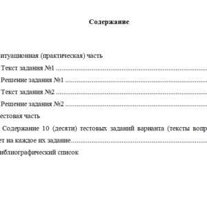 Международные стандарты финансовой отчетности. Вариант 10. НГУЭУ.