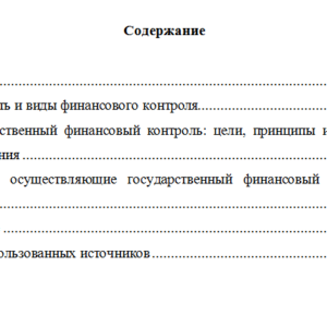 Понятие и виды финансового контроля. Реферат.