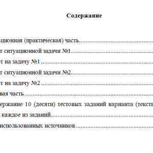 Бухгалтерский финансовый учет. Вариант 4. НГУЭУ.