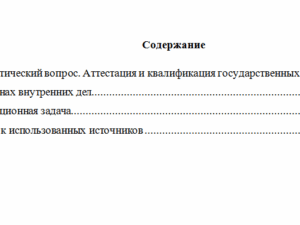 Государственная служба в правоохранительных органах. Вариант 7. НГУЭУ.