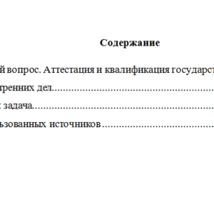 Государственная служба в правоохранительных органах. Вариант 7. НГУЭУ.