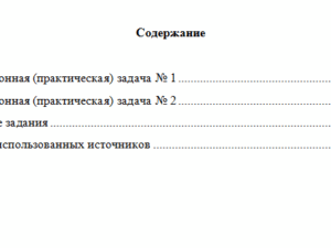Теория государства и права. Вариант 10. НГУЭУ.