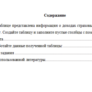 Информатика. Вариант 3. НГУЭУ.