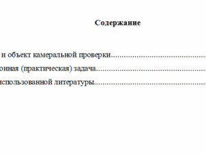 Правовое обеспечение налоговых проверок. Вариант 7. НГУЭУ
