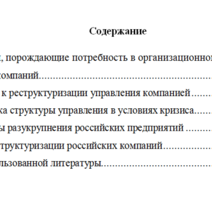 Организационное проектирование. Задание 2. СибУПК.