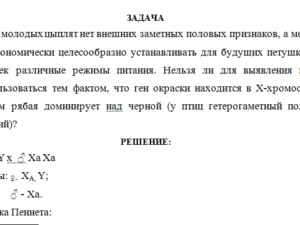 Генетика. Задача.