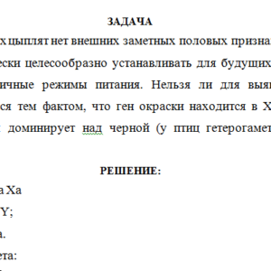 Генетика. Задача.