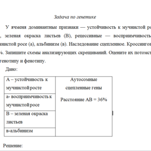 Генетика. Задача.