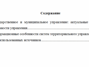 Информационные технологии в государственной и муниципальной службе. Вариант 1. НГУЭУ.