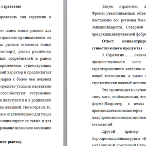 Стратегический менеджмент. Задание 3. СибУПК.