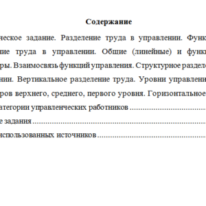 Управление организацией. Вариант 2. НГУЭУ.