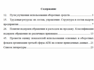 Экономика организации. НГАУ.