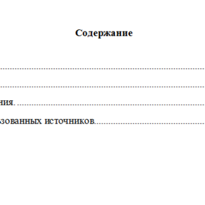 Бухгалтерская финансовая отчетность. Вариант 4. НГУЭУ.
