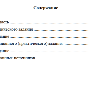 Бухгалтерский учет. Вариант 6. НГУЭУ.