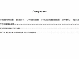 Государственная служба в правоохранительных органах. Вариант 9. НГУЭУ.