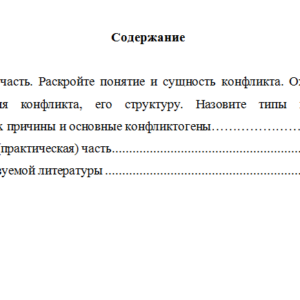 Лидерство и командное развитие. Вариант 6. НГУЭУ.
