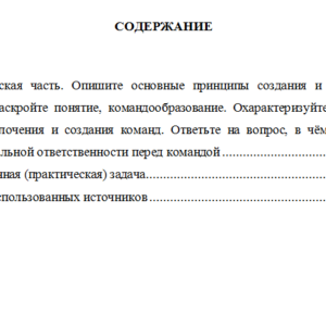 Лидерство и командное развитие. Вариант 9. НГУЭУ.