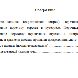 Лидерство и командное развитие. Вариант 7. НГУЭУ.