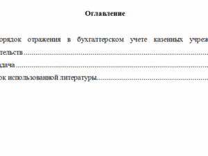 Основы бюджетного учета. Вариант 2. НГУЭУ.