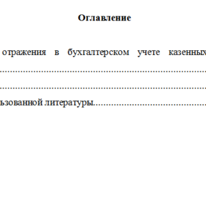 Основы бюджетного учета. Вариант 2. НГУЭУ.