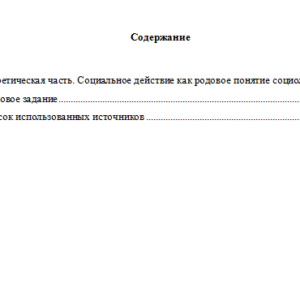 Основы социологии. Вариант 4. НГУЭУ.