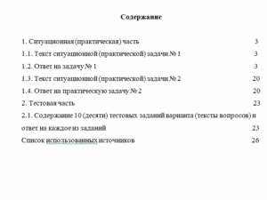 Налоговый аудит. Вариант 3. НГУЭУ.