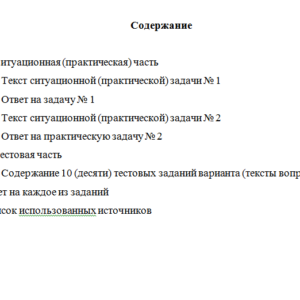 Налоговый аудит. Вариант 3. НГУЭУ.