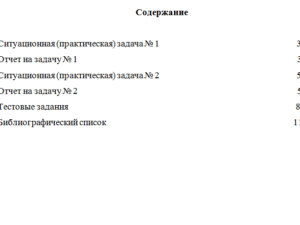 Внутренний аудит. Вариант 9.НГУЭУ.