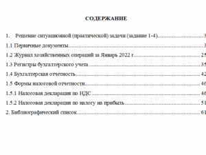 Лабораторный практикум по бухгалтерскому учету. Вариант 2. НГУЭУ.