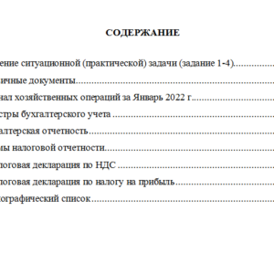 Лабораторный практикум по бухгалтерскому учету. Вариант 2. НГУЭУ.