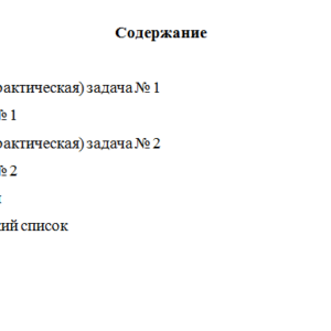 Внутренний аудит. Вариант 3. НГУЭУ.