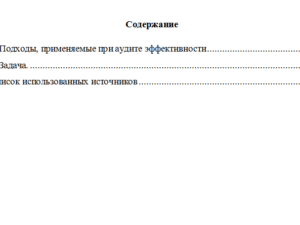 Аудит эффективности деятельности. Вариант 3. НГУЭУ.