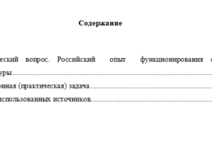 Обеспечение прав человека в деятельности правоохранительных органов. Вариант 1. НГУЭУ.