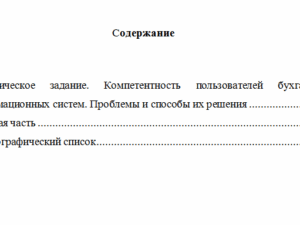 Профессиональные бухгалтерские программные продукты. Вариант 10. НГУЭУ.