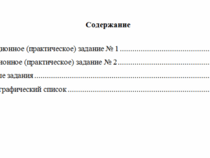 Бухгалтерское дело. Вариант 10. НГУЭУ.