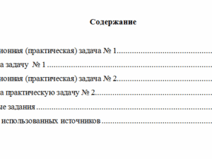Бухгалтерский финансовый учет. Вариант 2. НГУЭУ.
