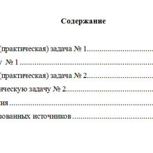 Бухгалтерский финансовый учет. Вариант 2. НГУЭУ.