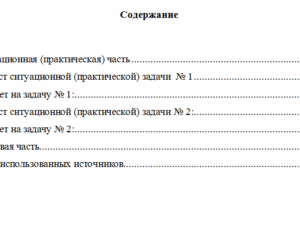 Бухгалтерский финансовый учет. Вариант 10. НГУЭУ.